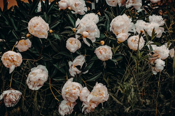 Visites virtuelles des plus belles maisons de caractère en France