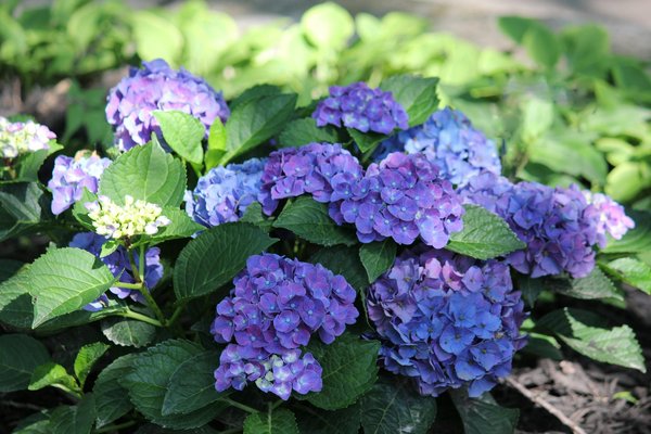 La sécurité autour de votre piscine intérieure : ce qu'il faut savoir