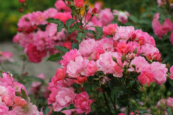 Rénovation clé en main : un projet sans tracas et réussi